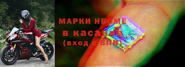 гидра Горняк
