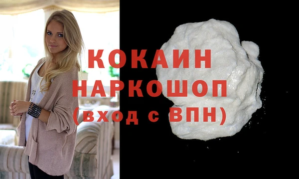 гидра Горняк