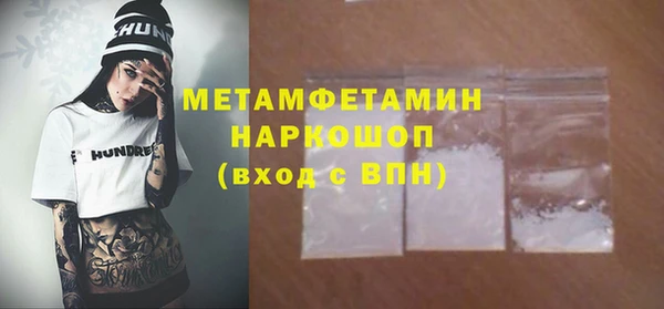 гидра Горняк