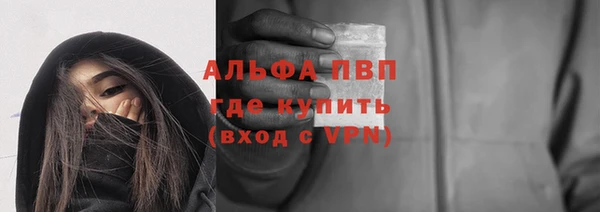 гидра Горняк