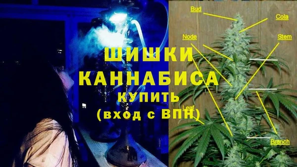гидра Горняк