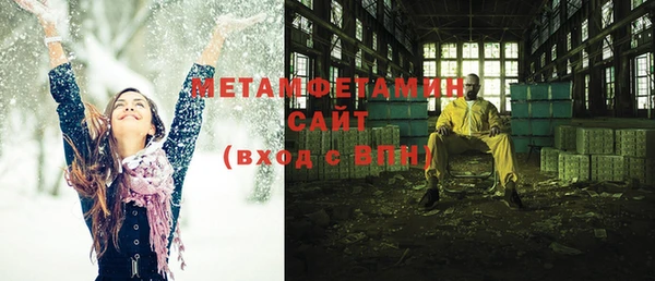 гидра Горняк