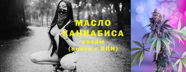 гидра Горняк
