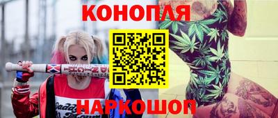 jwh Бийск