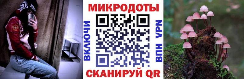 купить наркоту  Ейск  Галлюциногенные грибы Psilocybe 