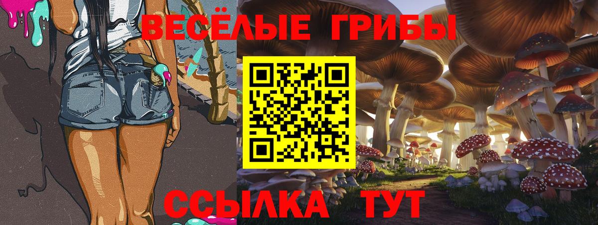 Псилоцибиновые грибы мицелий Ейск
