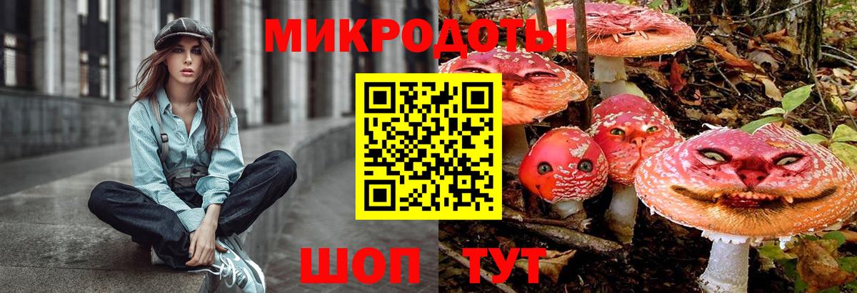 Галлюциногенные грибы MAGIC MUSHROOMS  Вход с VPN  Галлюциногенные грибы Psilocybe  Ейск 